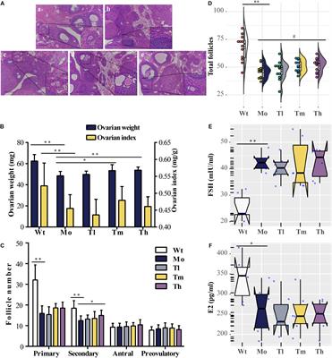 Study on the Reparative Effect of PEGylated Growth Hormone on Ovarian Parameters and Mitochondrial Function of Oocytes From Rats With Premature Ovarian Insufficiency